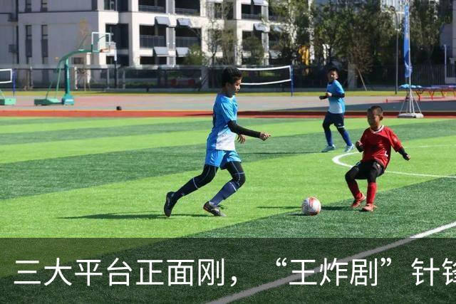 三大平台正面刚，“王炸剧”针锋相对，网友：这下有好戏看了